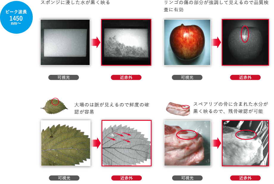 水分の可視化