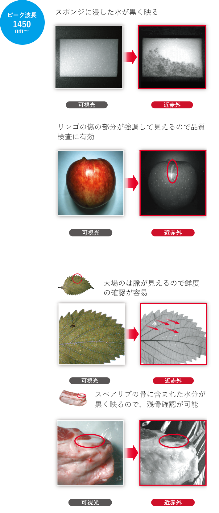 水分の可視化